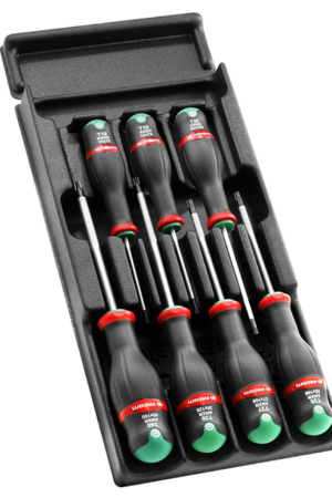 Modul Schraubendreher Resistorx 7 Stk